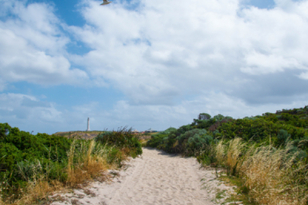 Miramar Beach Rules & Regulations