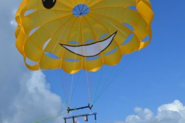 Pelican Adventures Pelican Adventures