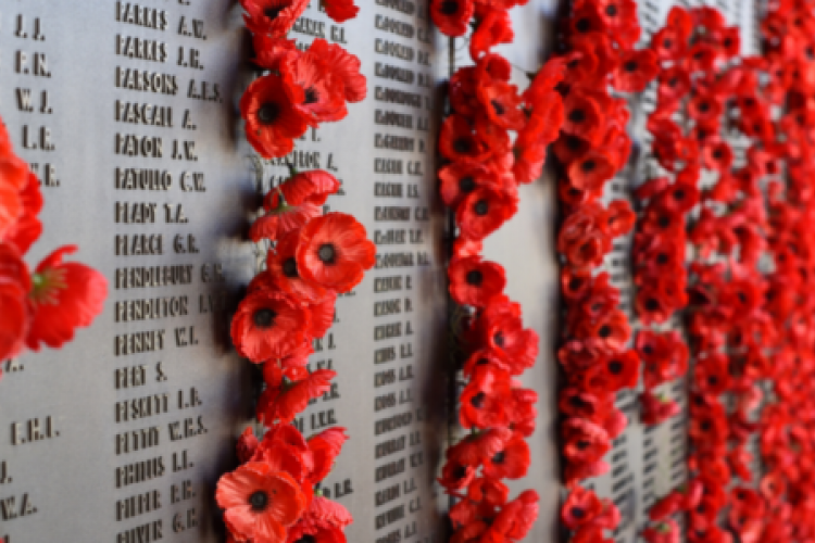 National Poppy Day Celebration at American Legion Post 296